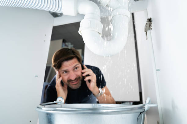 Best Local Plumber Services  in Haines, AK